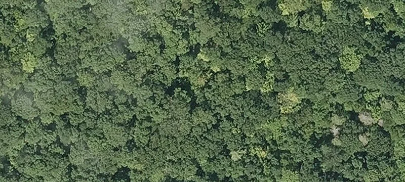 Little Mtn Rd