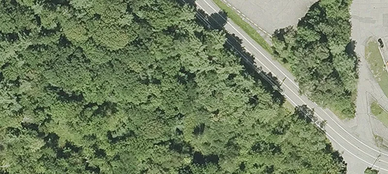 Wilkins Rd