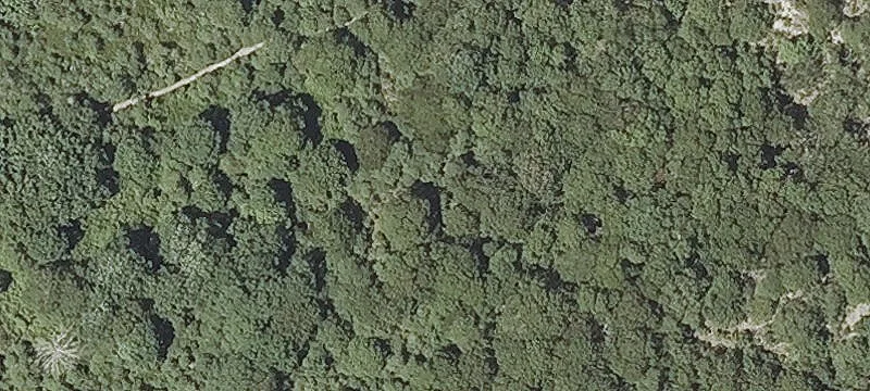 Pasture Rd