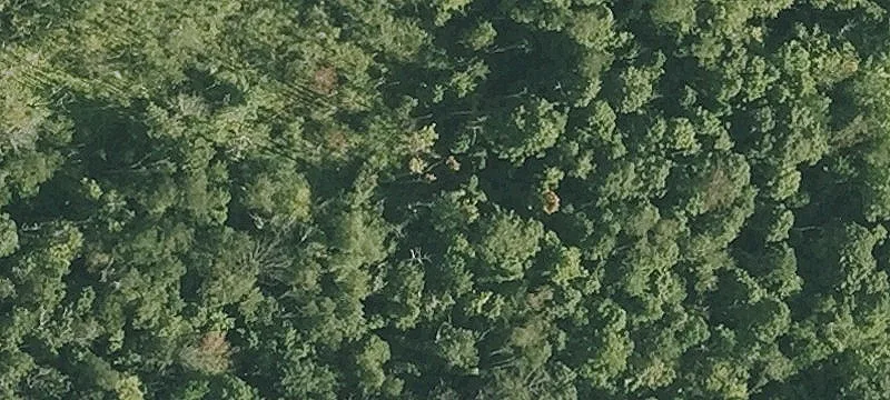 Ww Mtn Rd