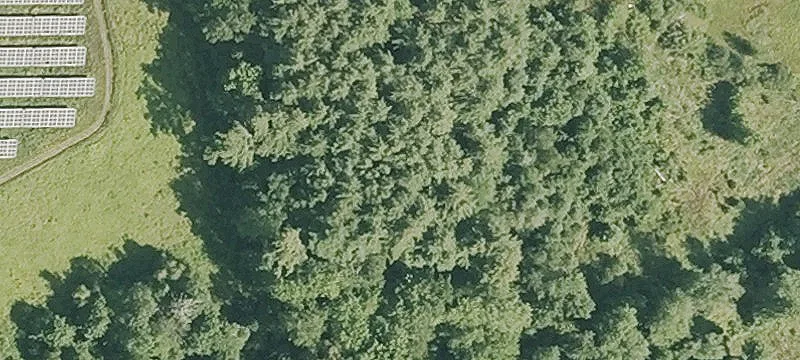 Palmer Rd