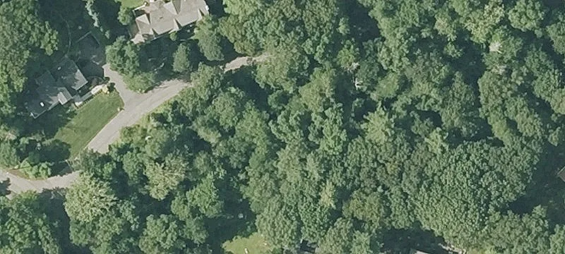 Ferndale Rd