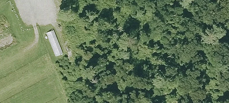 Turkey Hl Ln
