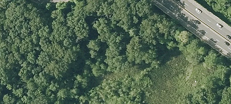 Wheeler Rd