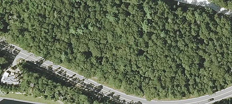 Thomas B Landers Rd