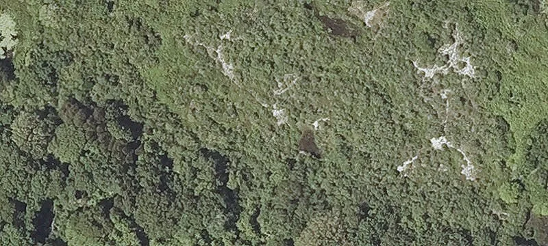 Lobsterville Rd