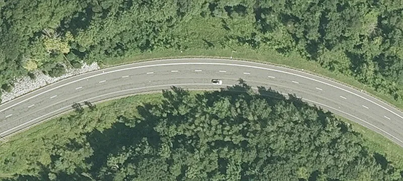 Partridge Rd