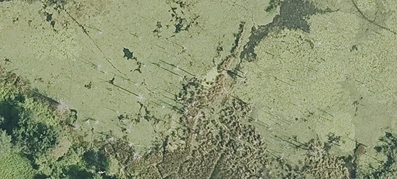 Swamp Rd