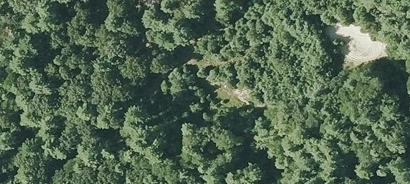 Ring Rd