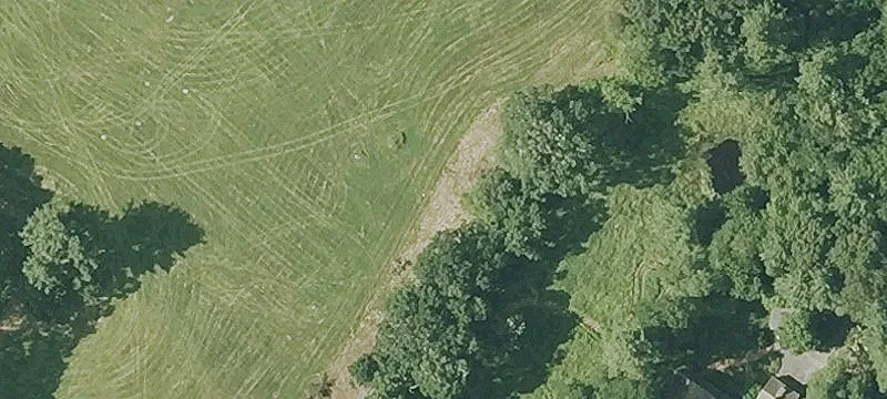 Trapelo Rd