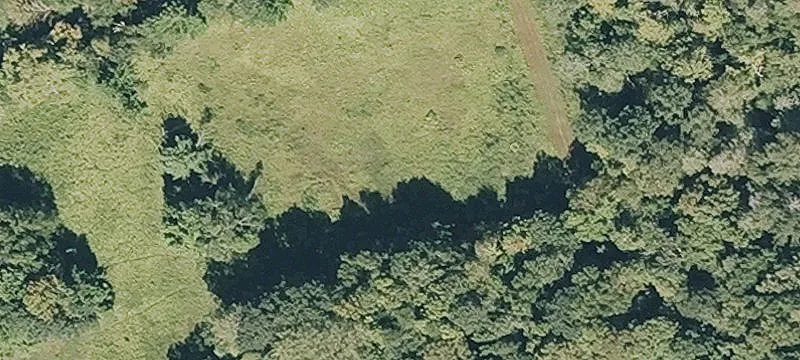 Hog Holw Rd
