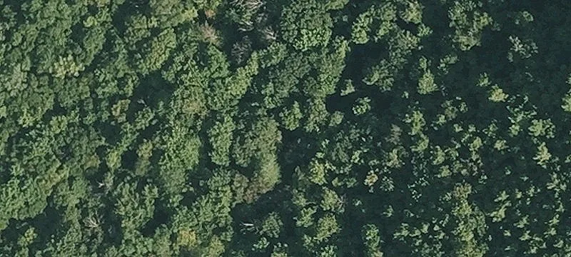 Osceola Notch Rd