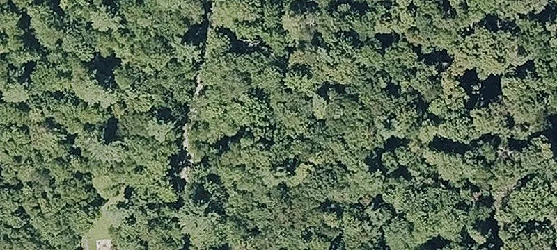 Thicket Rd