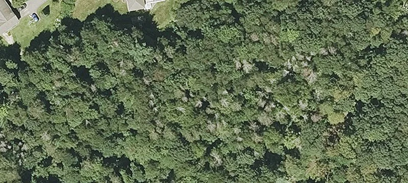 Pommogussett Rd