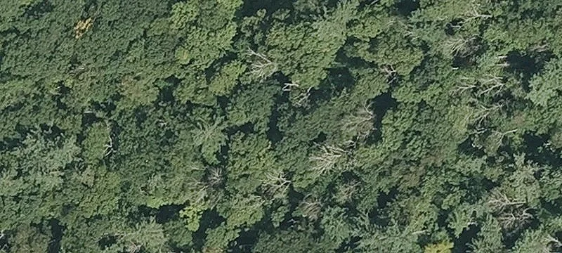 Ww Mtn Rd