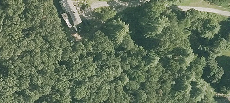 Allen Rd