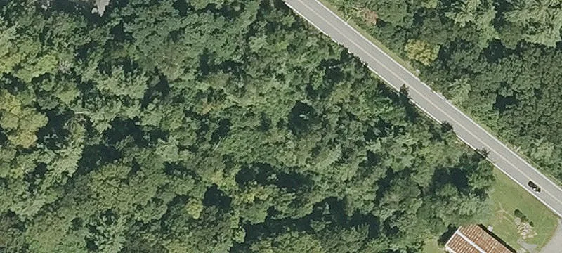 Boston Rd