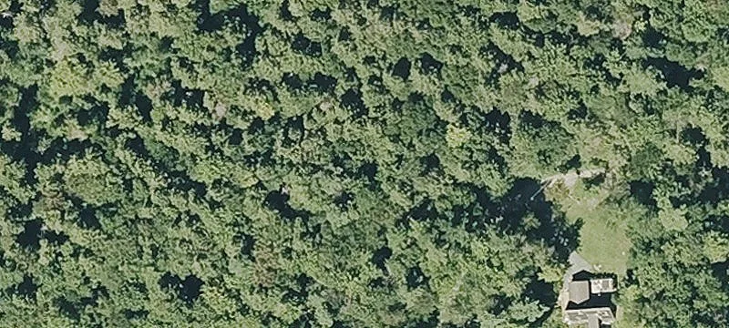 Woods Ln