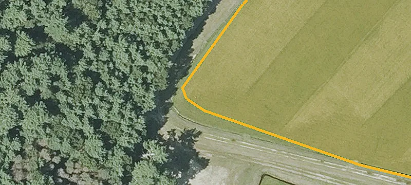 Fosdick Rd