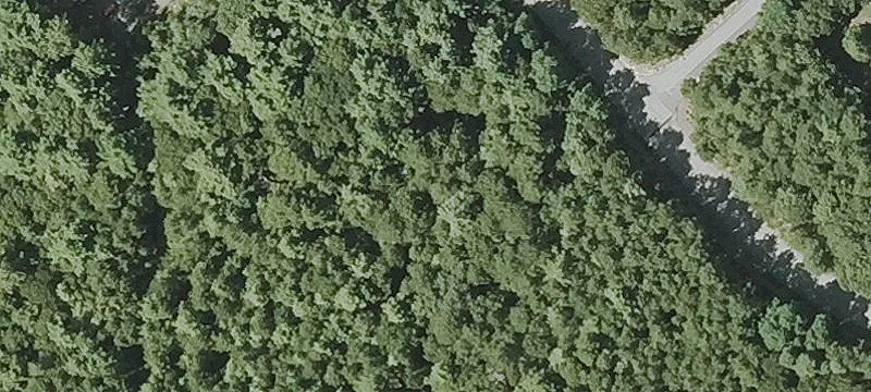 Research Rd