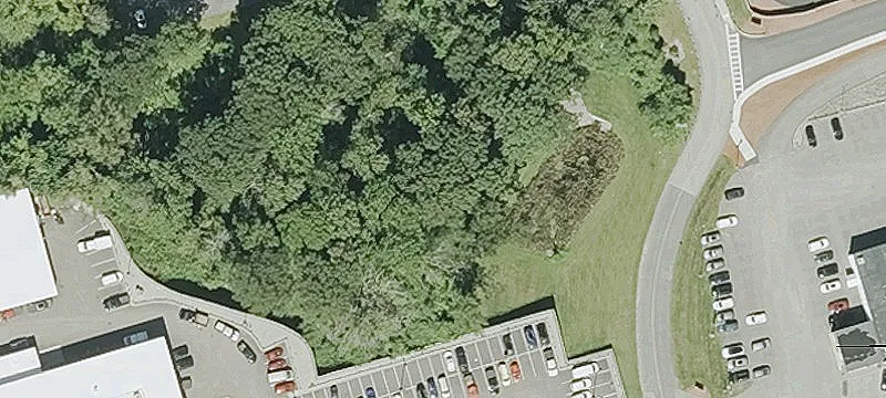 Faith Ave