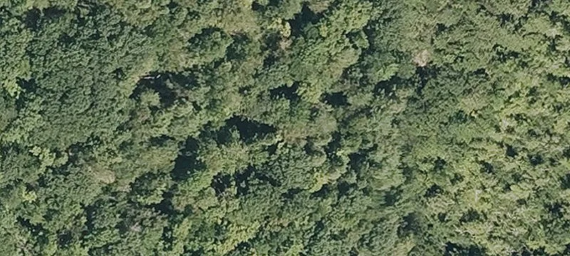 Bear Swamp Rd