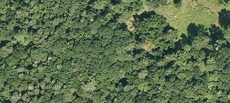 Pisgah Rd