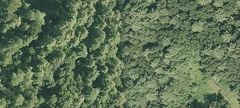 Palmer Rd