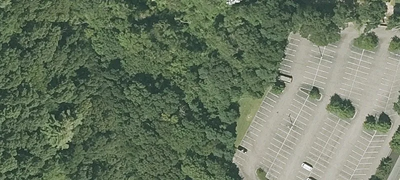 Maple St