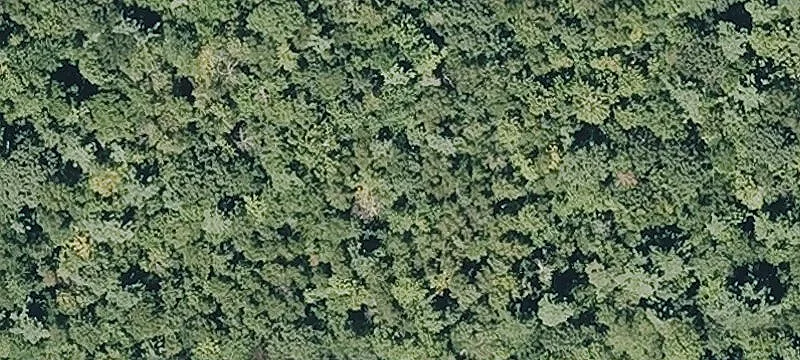 Beech Pln Rd