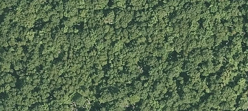Cedar Swamp Rd