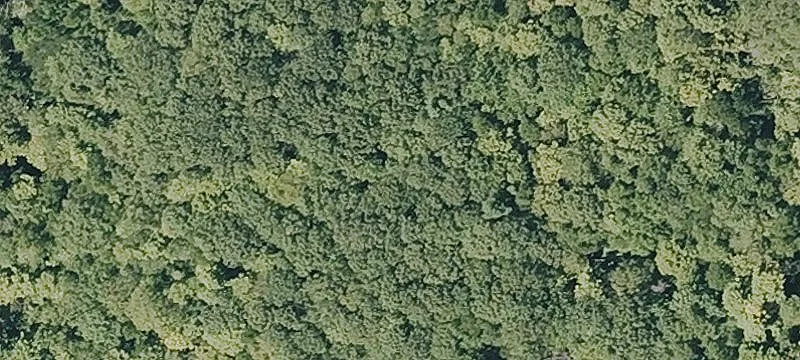 Fenn Rd