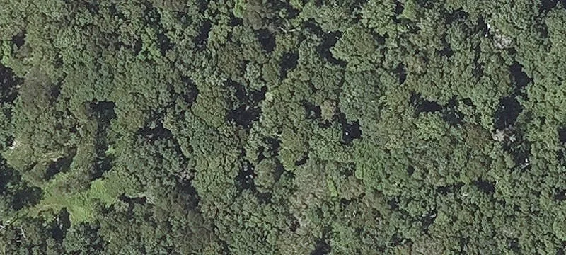 Lobsterville Rd