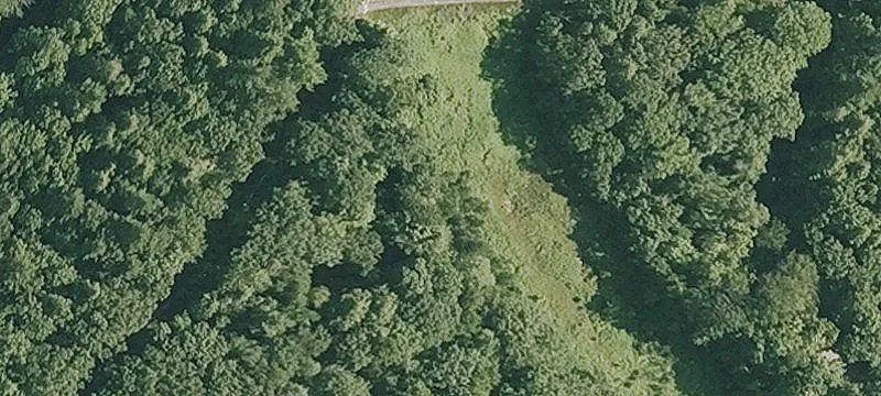 Lenox Rd