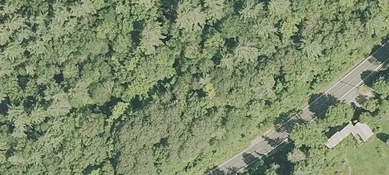 State Rd
