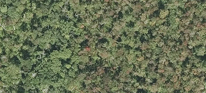 Hopkinton Rd
