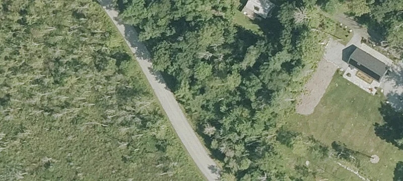 Walnut Rd