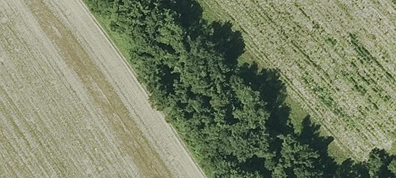 Dike Rd