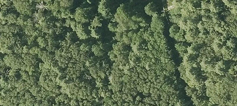 White Pond Rd