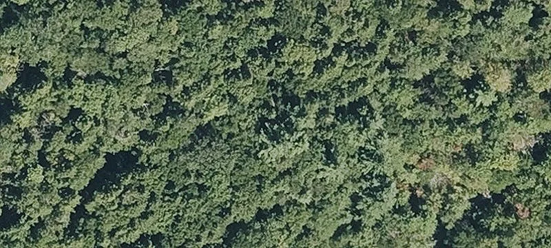 Damon Pond Rd
