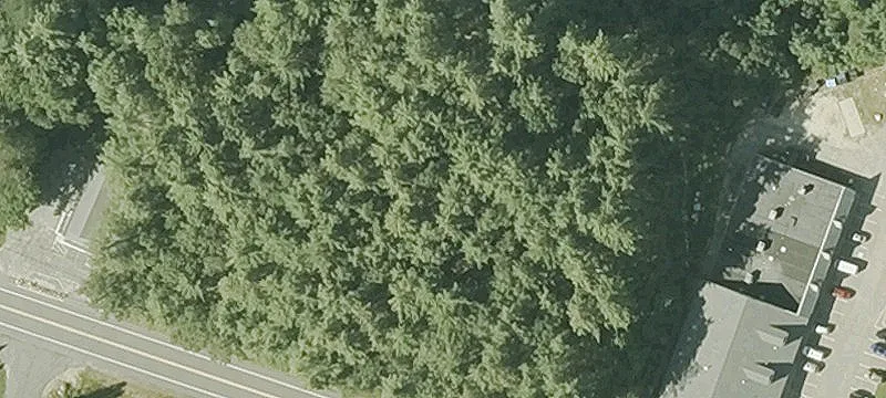 New Athol Rd