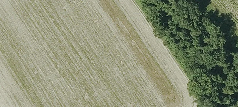 Dike Rd