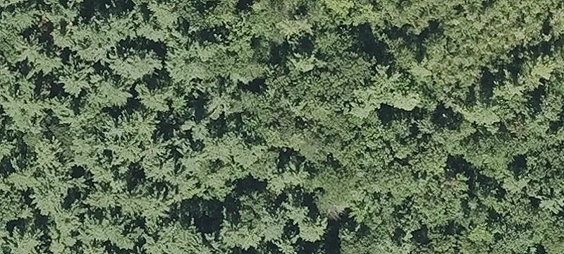 State E Rd