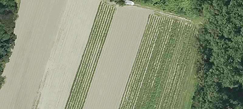 3 Mcclelland Farm Rd