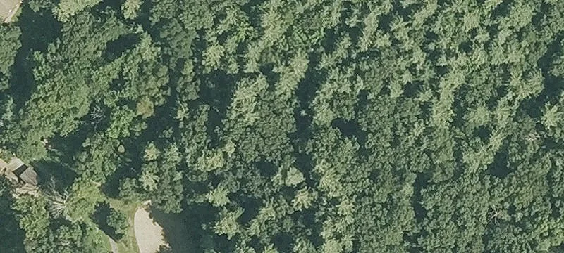 Banner Rd
