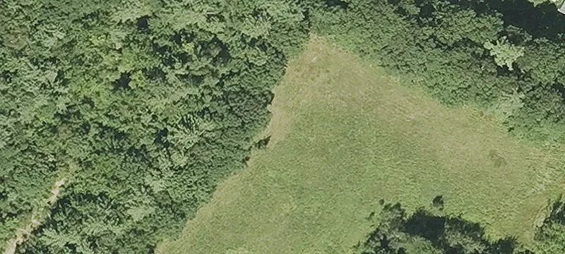Pitcherville Rd