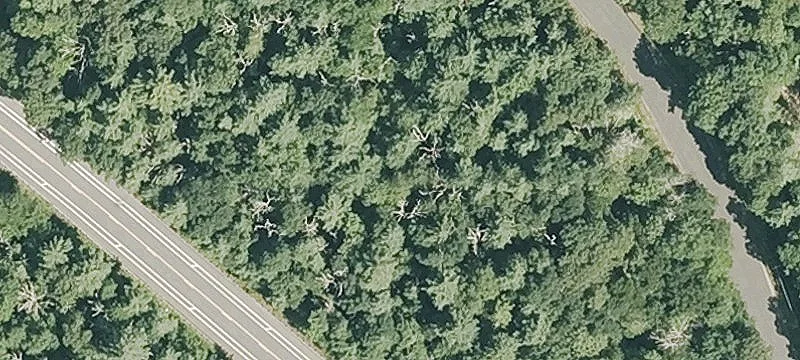 Sturbridge Rd