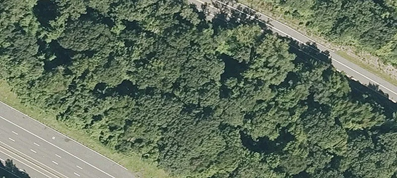 Westfield Rd