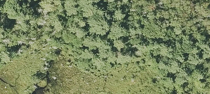 Gale Hl Rd