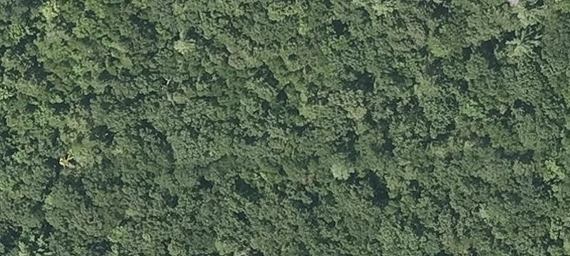Moose Brk Rd